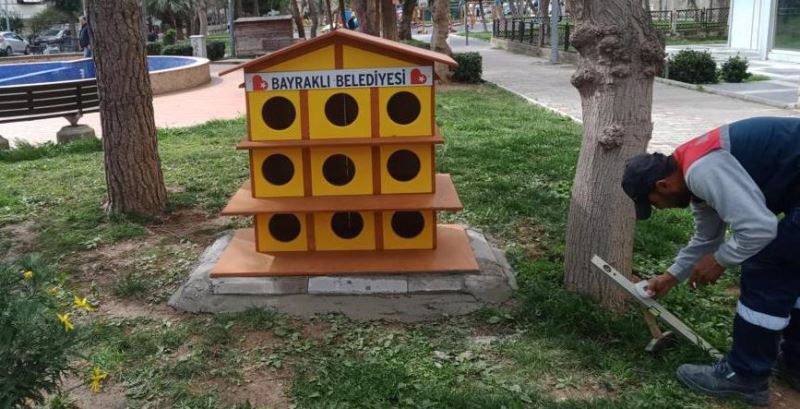 Bayraklı’da kedi evlerinin sayısı 20’ye yükseldi