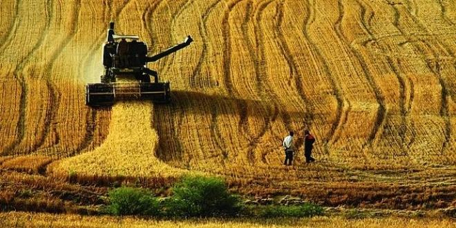 DÜZENLEME YASALAŞTI.. İŞLENMEYEN TARIM ARAZİLERİ ÜRETİME KAZANDIRILACAK