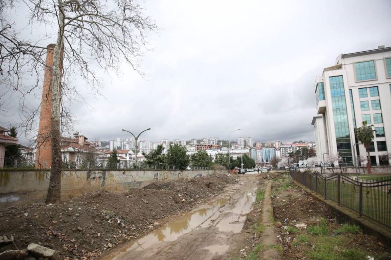 Kaşüstü