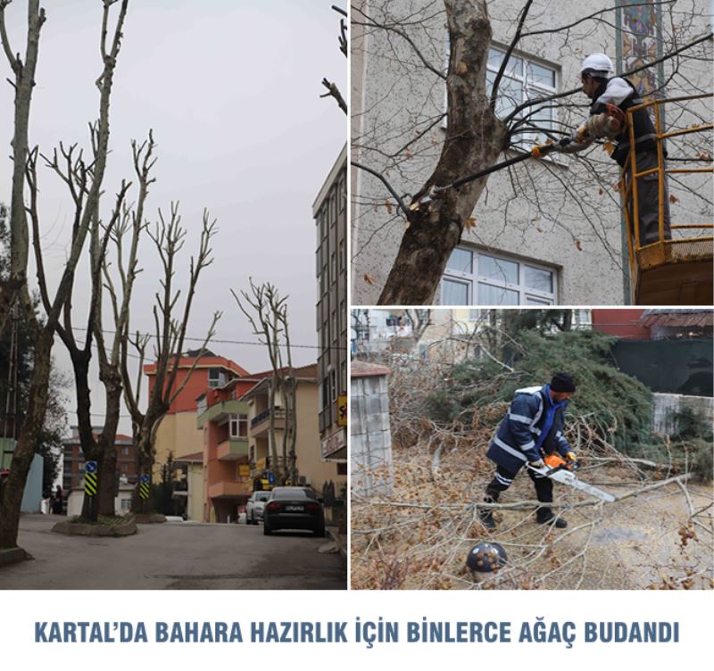 KARTAL’DA BAHARA HAZIRLIK İÇİN BİNLERCE AĞAÇ BUDANDI