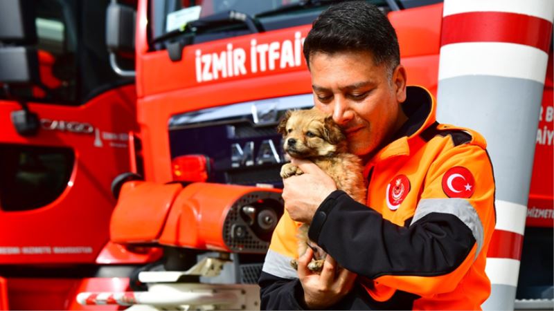 İzmirli itfaiyeci deprem bölgesinden gelen köpeğe yuvasını açtı