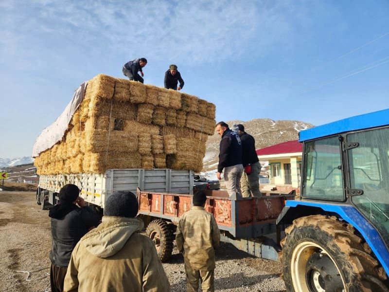 Konyaaltı’ndan yem ve saman desteği