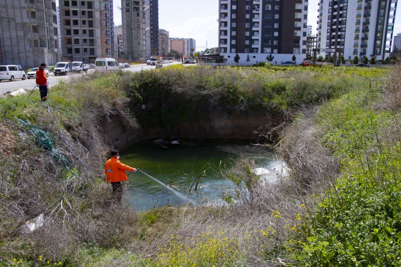 Büyükşehir’in İlaçlama Ekibi Kenti Yaz Aylarına Hazırlıyor