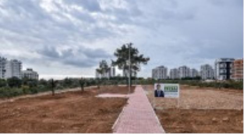 Çankaya’ya zeytin temalı park