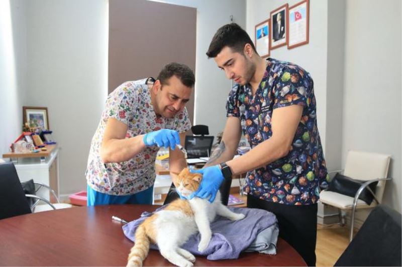 Konak’taki Can Dostlar İçin Aşı Mesaisi