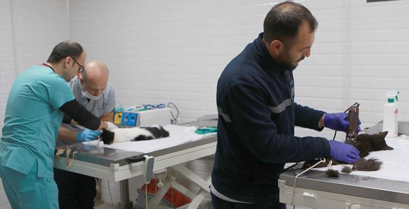 Bayraklı’daki can dostlara özel klinik!
