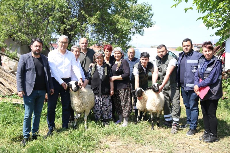 BAŞKAN ÇERÇİOĞLU’NDAN KOYUNLARI TELEF OLAN ÜRETİCİ KADINA DESTEK