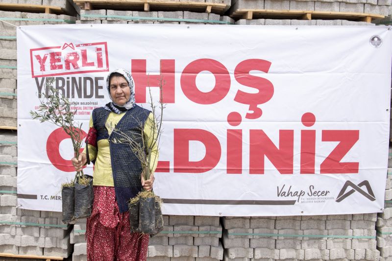 Zeytin Fidanları Toprakla Buluşacak, Üretici de Ekonomi de Kalkınacak