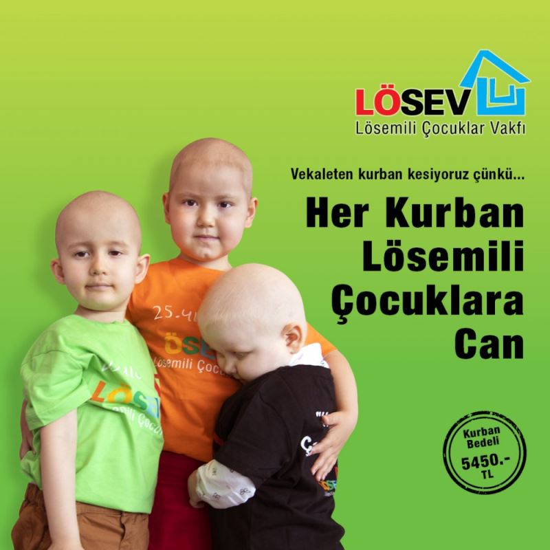 LÖSEVE DESTEKLERİNİZİ BEKLİYORUZ