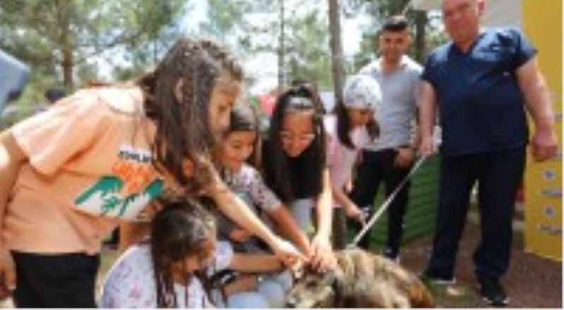 Kepez’in Pati Atölyesi’nden sokak hayvanlarına yuva