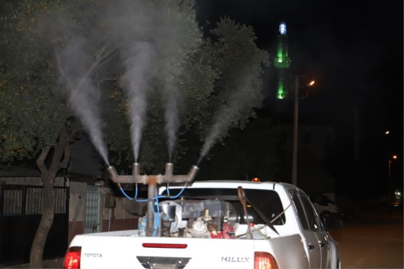 Ödemiş