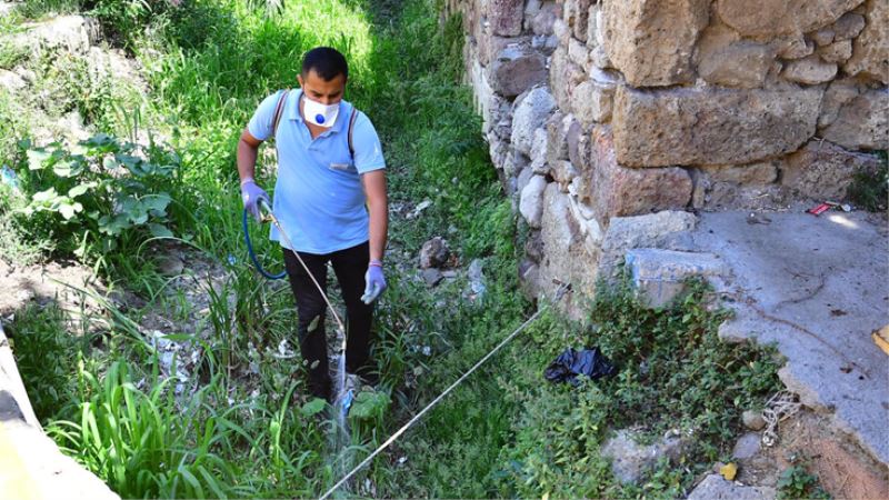 İzmir’de sivrisineklere karşı etkin mücadele