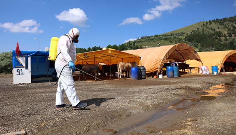 Çankaya Belediyesi Kurban Satış Ve Kesim Alanı Bayrama Hazırlanıyor
