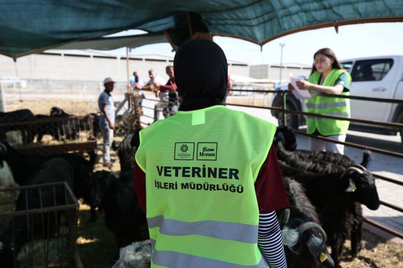 MERAM’DAKİ HAYVAN SATIŞ ALANINDA KURBAN HAREKETLİLİĞİ