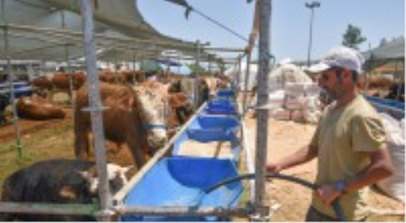 Kepez ‘de 3 satış, 9 kurban kesim noktası