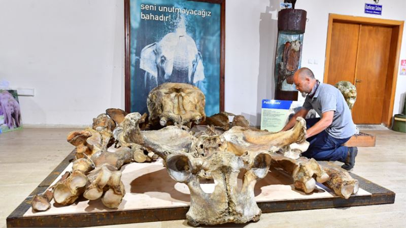 Pak Bahadır efsanesi müzede yaşatılacak