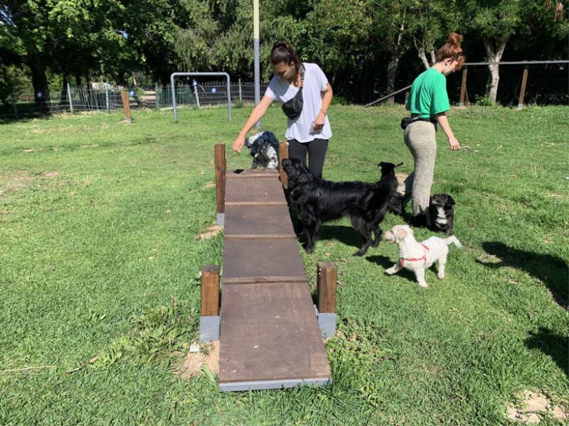 Yenilenen köpek parkı ile can dostların keyfi yerinde
