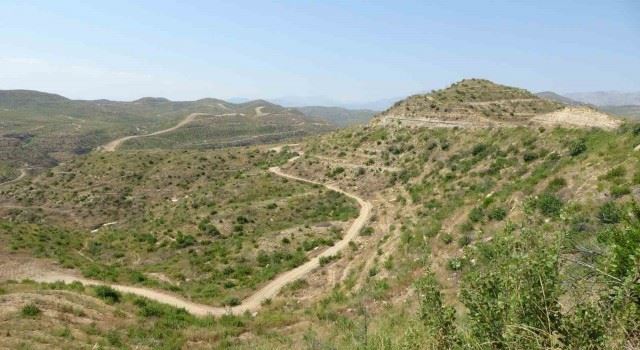 BÜYÜK YANGIN SONRASI MANAVGAT’TA DİKİLEN 3.5 MİLYON FİDAN YEŞERDİ