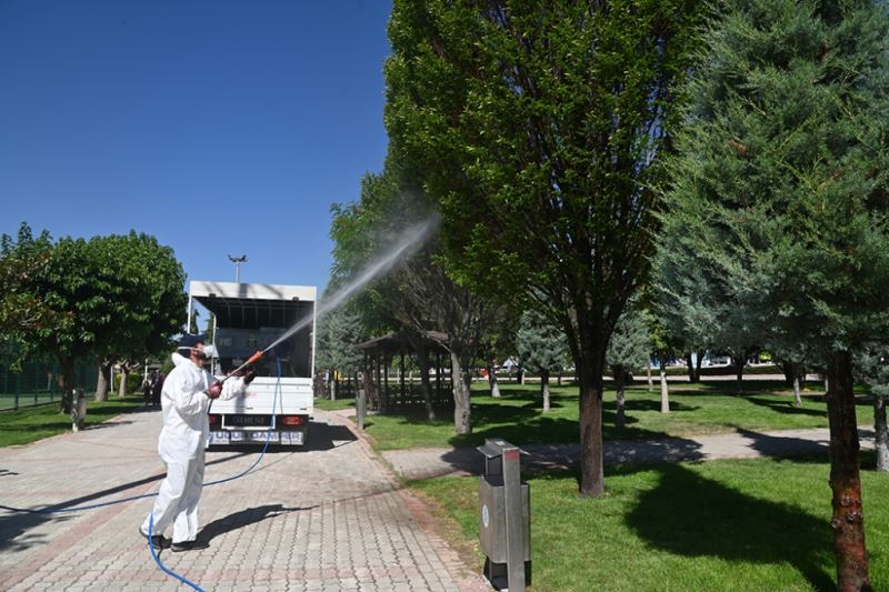 SELÇUKLU’DA HAŞERE İLAÇLAMASI SÜRÜYOR