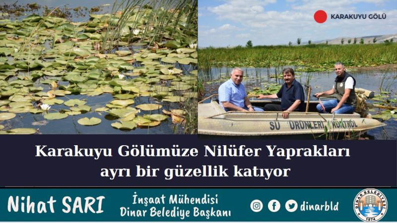 Nilüfer Yaprakları Karakuyu Gölümüze ayrı bir güzellik katıyor