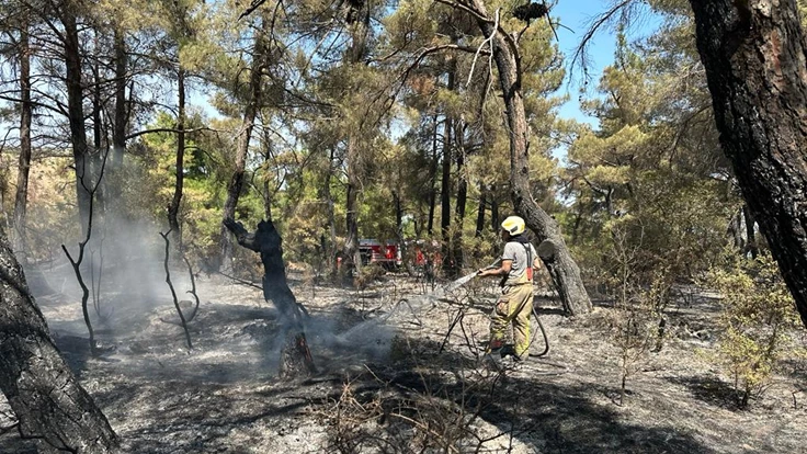 Çanakkale’deki yangına İzmir’den destek