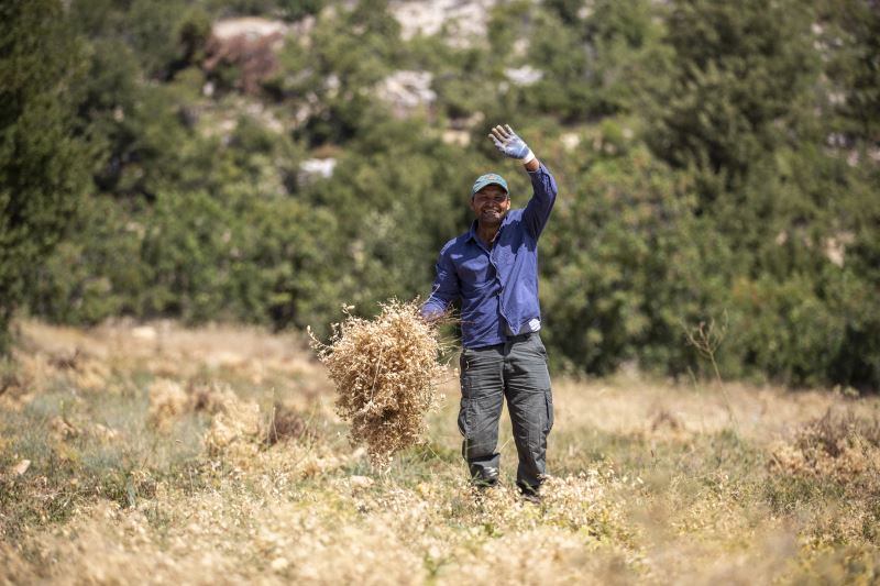 Büyükşehir, Toprağa Bereket Katmaya Devam Ediyor