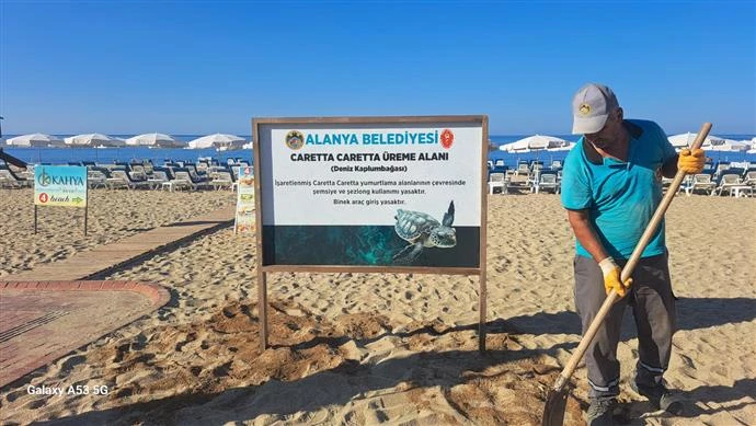 ALANYA BELEDİYESİ’NDEN CARETTA CARETTALARA ÖZEL ÇALIŞMA YUMURTLAMA ALANLARI İŞARETLENDİ