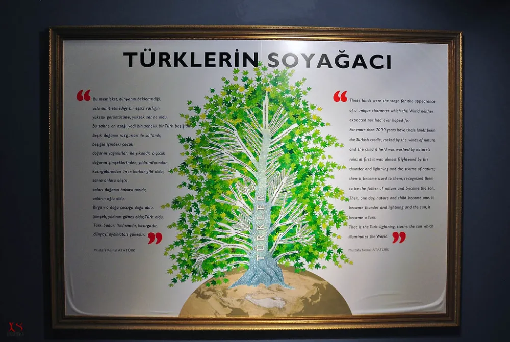 TÜRKLERİN SOY AĞACINDAKİ BÜYÜK SIR ORTAYA ÇIKTI.. HANGİ TÜRK BOYUNDANSINIZ?