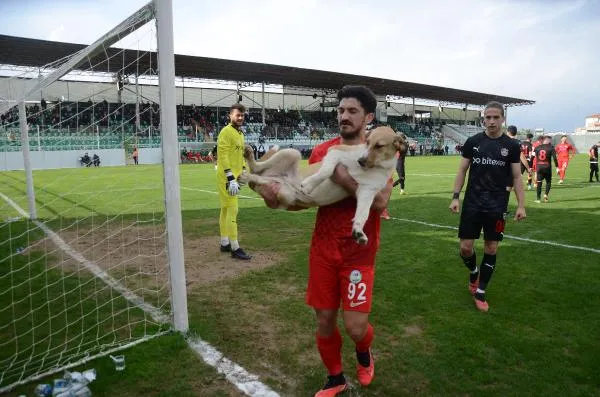 SERİKSPOR MAÇINDA SAHAYA GİREN KÖPEĞİ FUTBOLCULAR ÇIKARDI