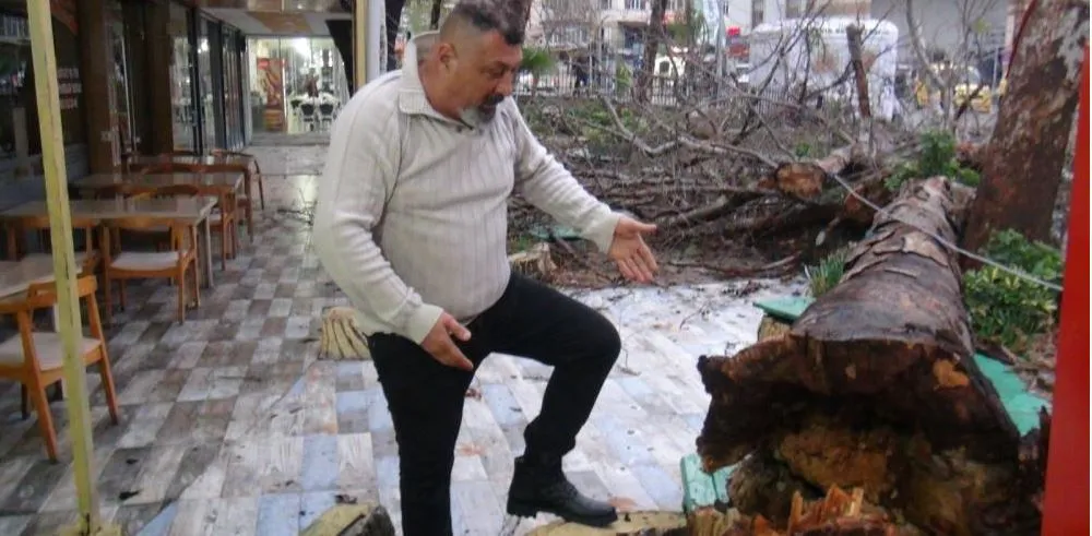 SERİK’TE AŞIRI YAĞIŞ VE FIRTINA ASIRLIK ÇINAR AĞACINI DEVİRDİ