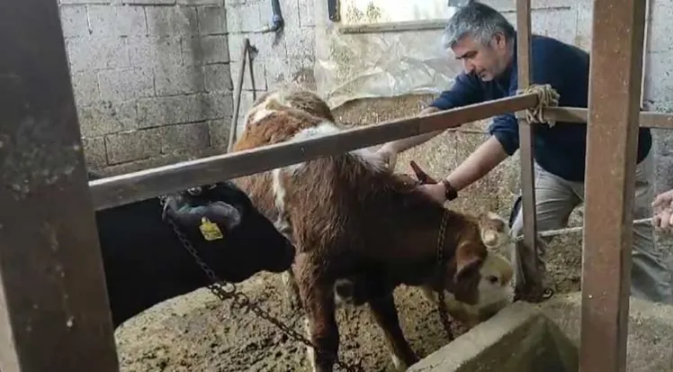 ALANYA TARIM VE ORMAN İLÇE MÜDÜRÜ