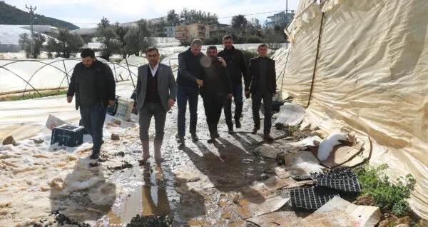 ALANYA’DA DOLU YAĞIŞI SERALARA ZARAR VERDİ