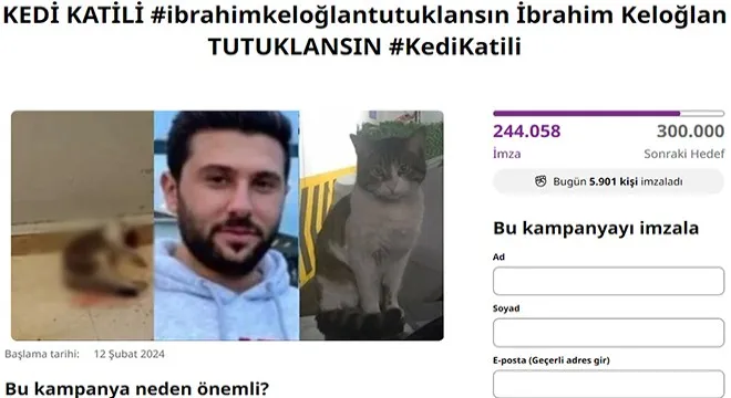KEDİ KATİLİNİN TUTUKLANMASI İÇİN 250 BİN İMZA TOPLANDI