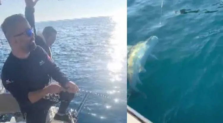 ANTALYA’DA OLTAYA KÖPEKBALIĞI TAKILDI
