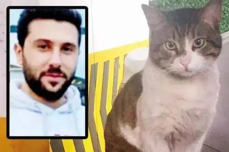 KEDİ EROS