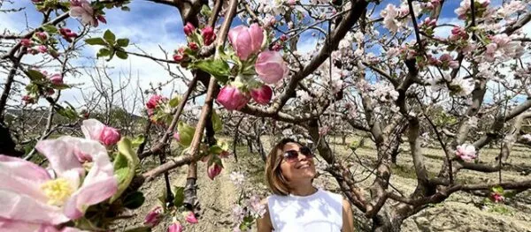TOROSLAR’DA ÇİÇEK ŞÖLENİ.. ‘ANTALYA TÜRKİYE