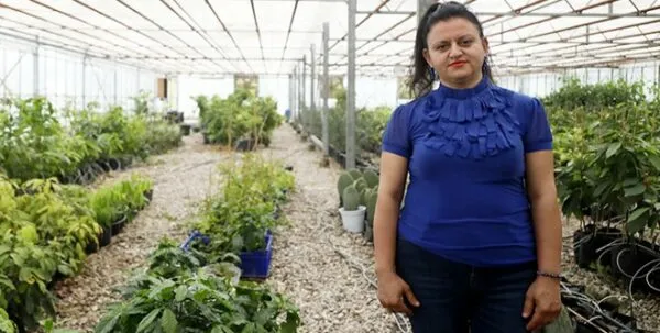 İKLİM DEĞİŞTİ VE ANTALYA’DA KAHVE BİTKİSİ MEYVE VERMEYE HAZIRLANIYOR