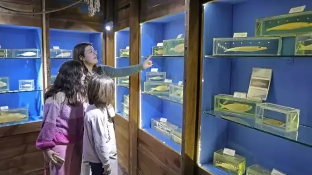 AKAYDIN DÖNEMİNDE AÇILDI.. BÖCEK ‘BOŞALTIN’ DEDİ.. MAHKEME DURDURDU