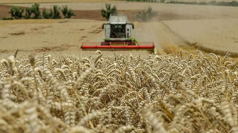 TARIMSAL GİRDİ MALİYETLERİ.. AYLIKTA AYNI YILLIKTA ARTIŞTA