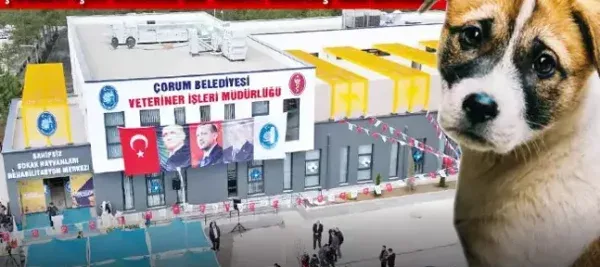 ÇÖZÜM İÇİN ÖNEMLİ BİR ADIM.. CAN DOSTLARA ÇORUM MODELİ