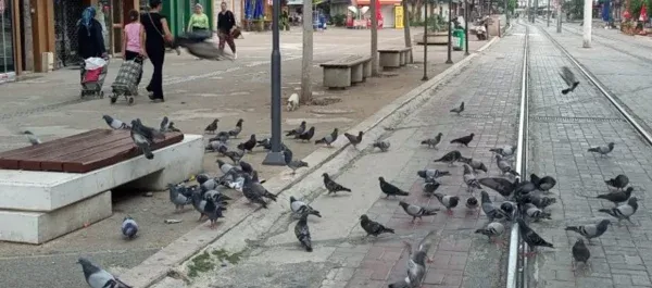 ŞARAMPOL CADDESİ.. ANTALYA’NIN SULTANAHMET’İ OLDU