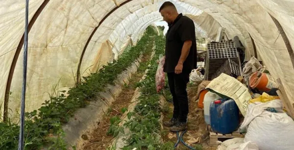 GAZİPAŞA’DA ‘BİTKİ SAĞLIĞI’ KONTROLÜ YAPILDI