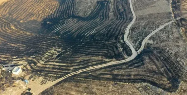 DİYARBAKIR VE MARDİN ARASINDA ANIZ YANGINI.. 5 ÖLÜ 44 YARALI VAR