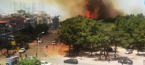 KONYAALTI VE AKSU’DA ORMAN YANGINI ÇIKTI