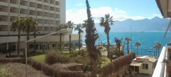 AVUKAT ÇALIKUŞU AÇIKLADI.. ‘TALYA OTEL