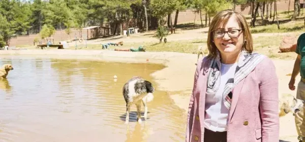 ‘BİZ SORUNU ÇÖZDÜK.. HAYVANLAR DA ZARAR GÖRMEDİ İNSANLAR DA’