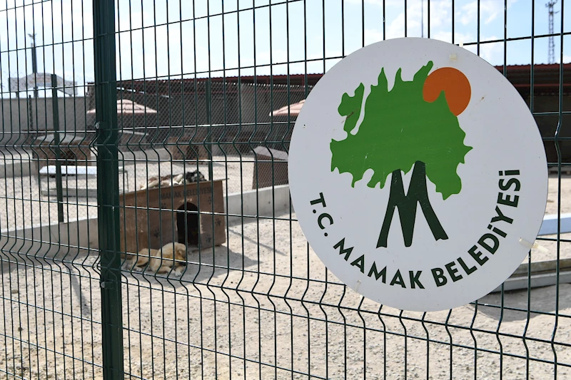Mamak Belediyesi’nden Sokak Köpekleri Toplanıyor İddialarına Yanıt