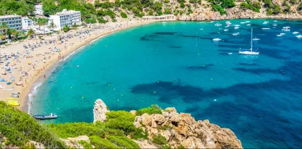 NE ANTALYA NE BODRUM.. DENİZİN TEMİZLİĞİNİ DUYAN ‘AVŞA’YA AKIN EDİYOR