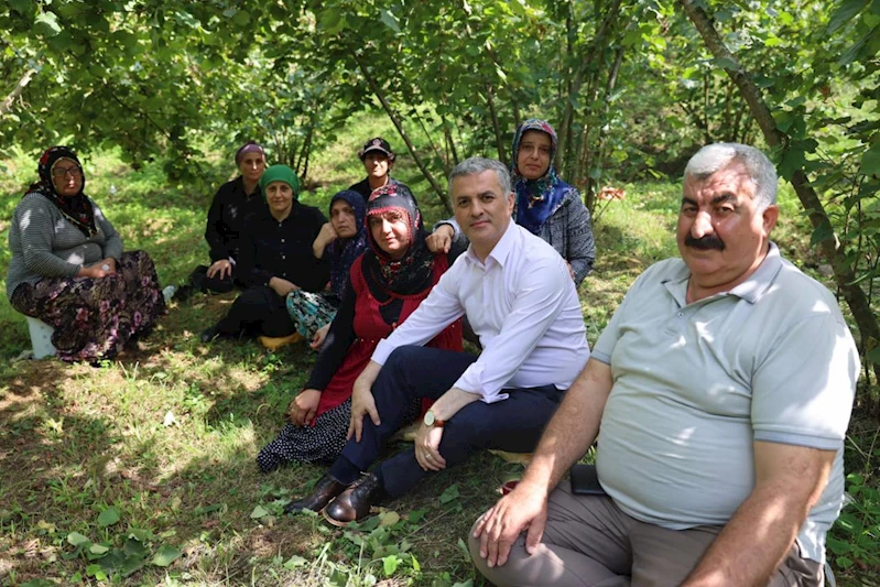 BAŞKANIMIZ FINDIK HASADI YAPAN HEMŞEHRİLERİMİZLE BİR ARAYA GELDİ