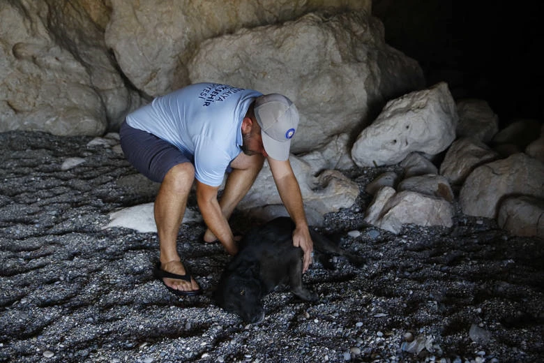 Büyükşehir ekiplerinden köpek kurtarma operasyonu